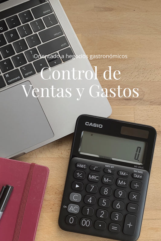 Taller: Control de Ventas y Gastos